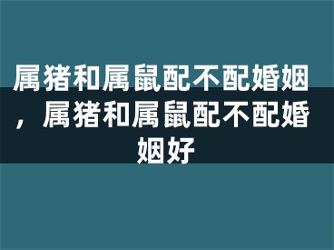 属猪和属鼠配不配婚姻，属猪和属鼠配不配婚姻好