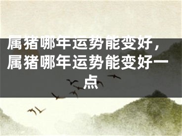 属猪哪年运势能变好，属猪哪年运势能变好一点
