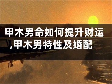 甲木男命如何提升财运,甲木男特性及婚配