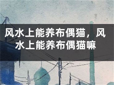 风水上能养布偶猫，风水上能养布偶猫嘛