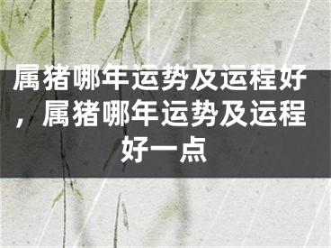 属猪哪年运势及运程好,属猪哪年运势及运程好一点