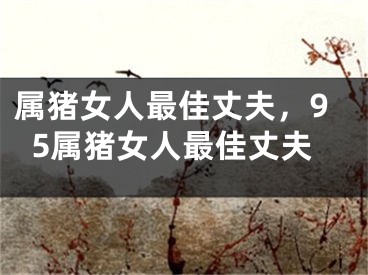 属猪女人最佳丈夫,95属猪女人最佳丈夫