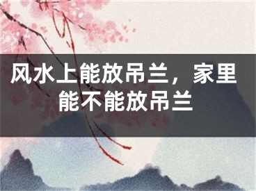 风水上能放吊兰,家里能不能放吊兰