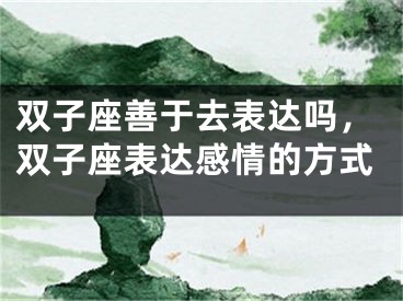 双子座善于去表达吗,双子座表达感情的方式