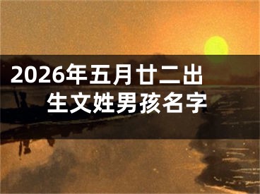2026年五月廿二出生文姓男孩名字