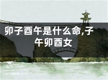 卯子酉午是什么命,子午卯酉女