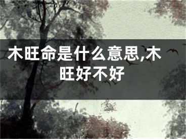 木旺命是什么意思,木旺好不好