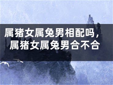属猪女属兔男相配吗,属猪女属兔男合不合