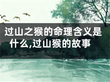 过山之猴的命理含义是什么,过山猴的故事
