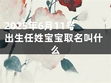 2025年6月11号出生任姓宝宝取名叫什么