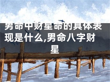 男命中财星命的具体表现是什么,男命八字财星