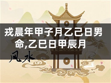戎晨年甲子月乙己日男命,乙巳日甲辰月