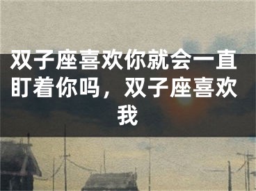 双子座喜欢你就会一直盯着你吗，双子座喜欢我