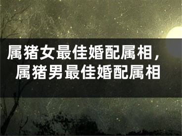 属猪女最佳婚配属相,属猪男最佳婚配属相