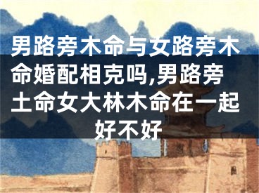 男路旁木命与女路旁木命婚配相克吗,男路旁土命女大林木命在一起好不好