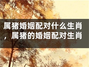 属猪婚姻配对什么生肖,属猪的婚姻配对生肖