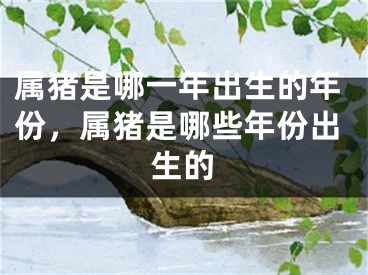 属猪是哪一年出生的年份,属猪是哪些年份出生的