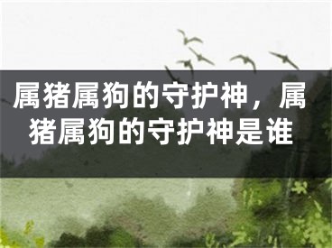 属猪属狗的守护神，属猪属狗的守护神是谁
