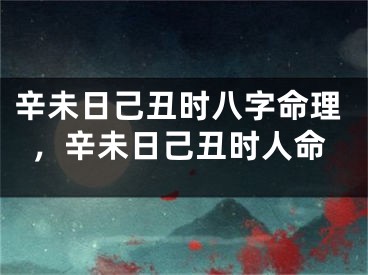 辛未日己丑时八字命理,辛未日己丑时人命