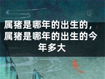 属猪是哪年的出生的,属猪是哪年的出生的今年多大