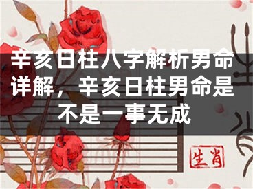 辛亥日柱八字解析男命详解,辛亥日柱男命是不是一事无成