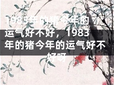 1983年的猪今年的运气好不好,1983年的猪今年的运气好不好呀