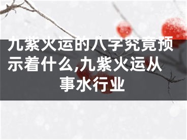 九紫火运的八字究竟预示着什么,九紫火运从事水行业