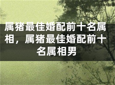属猪最佳婚配前十名属相，属猪最佳婚配前十名属相男