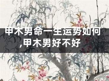 甲木男命一生运势如何,甲木男好不好