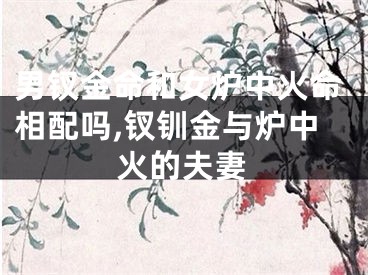 男钗金命和女炉中火命相配吗,钗钏金与炉中火的夫妻