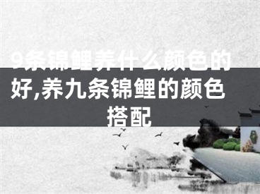 9条锦鲤养什么颜色的好,养九条锦鲤的颜色搭配