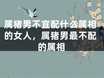属猪男不宜配什么属相的女人，属猪男最不配的属相