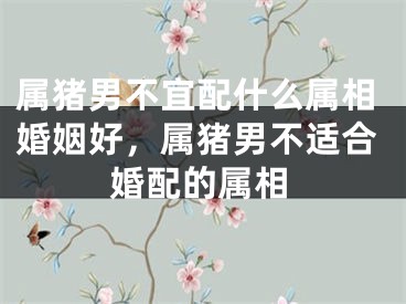 属猪男不宜配什么属相婚姻好,属猪男不适合婚配的属相
