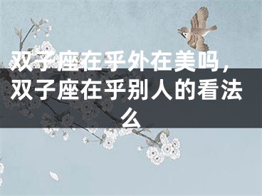 双子座在乎外在美吗，双子座在乎别人的看法么