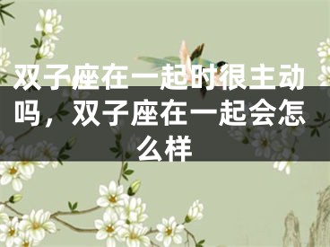 双子座在一起时很主动吗，双子座在一起会怎么样