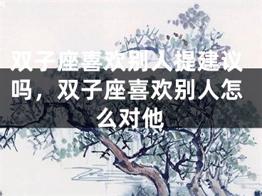 双子座喜欢别人提建议吗,双子座喜欢别人怎么对他