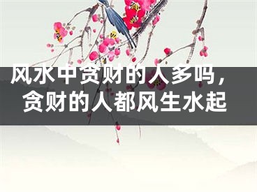 风水中贪财的人多吗,贪财的人都风生水起