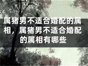 属猪男不适合婚配的属相,属猪男不适合婚配的属相有哪些