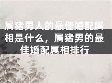 属猪男人的最佳婚配属相是什么,属猪男的最佳婚配属相排行