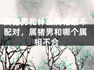 属猪男和什么属相最不配对,属猪男和哪个属相不合