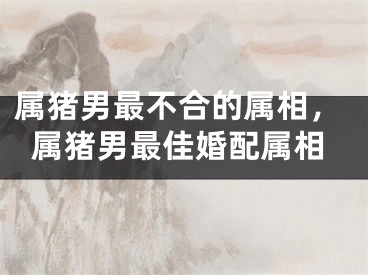 属猪男最不合的属相,属猪男最佳婚配属相
