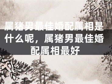 属猪男最佳婚配属相是什么呢，属猪男最佳婚配属相最好