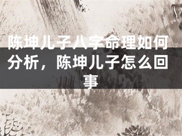 陈坤儿子八字命理如何分析，陈坤儿子怎么回事