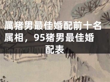 属猪男最佳婚配前十名属相,95猪男最佳婚配表