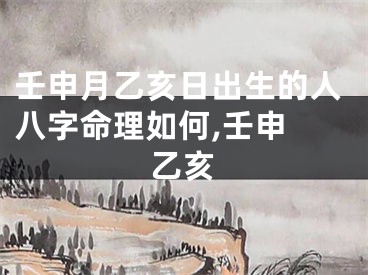 壬申月乙亥日出生的人八字命理如何,壬申 乙亥