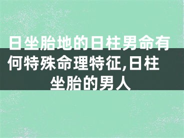日坐胎地的日柱男命有何特殊命理特征,日柱坐胎的男人