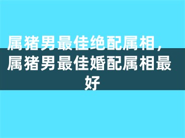 属猪男最佳绝配属相,属猪男最佳婚配属相最好
