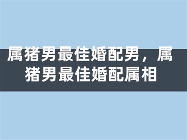 属猪男最佳婚配男,属猪男最佳婚配属相
