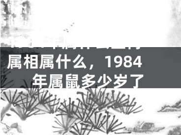 1984年属什么生肖属相属什么,1984年属鼠多少岁了
