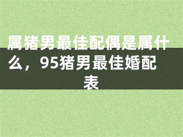 属猪男最佳配偶是属什么，95猪男最佳婚配表